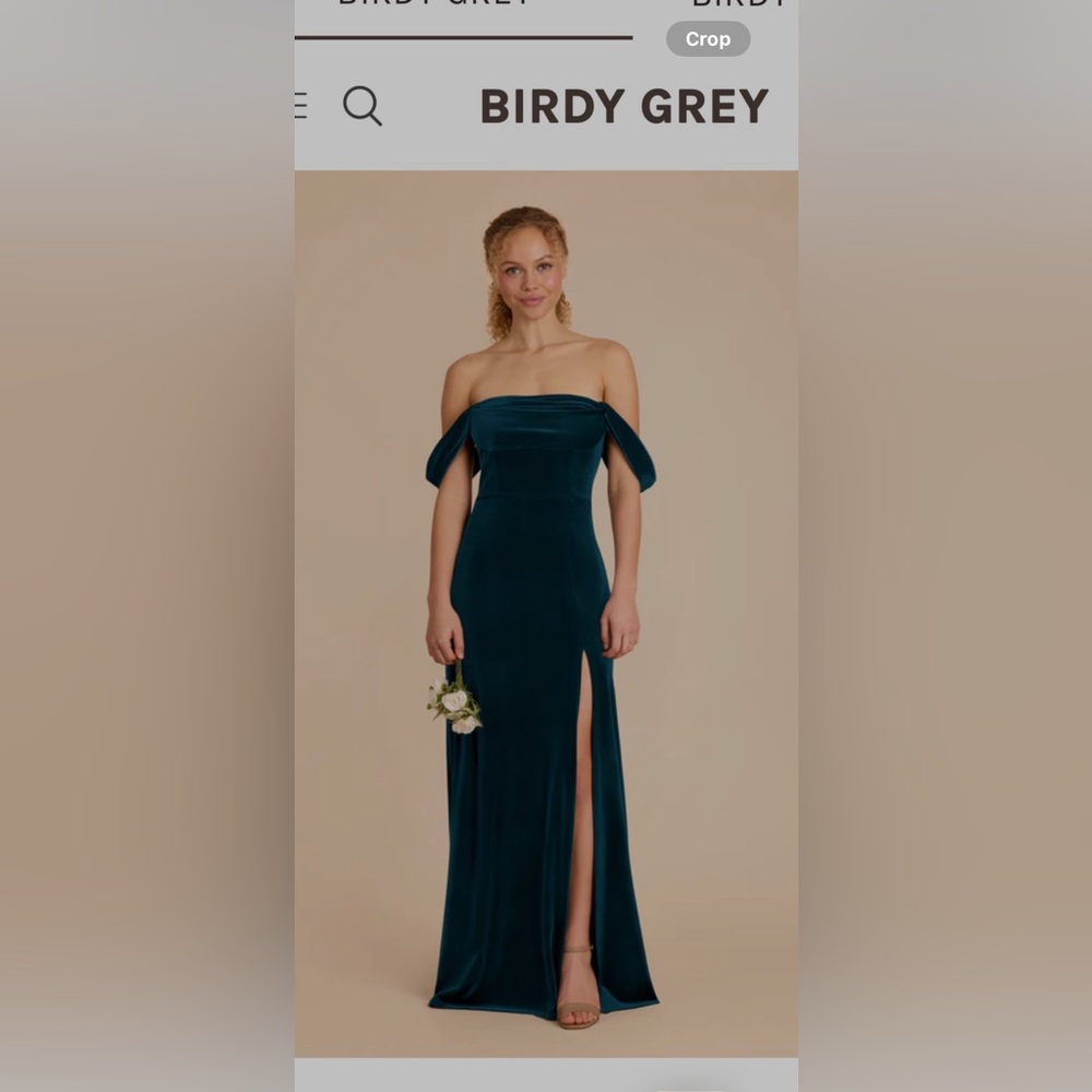 Birdy Grey Strapless Teal Velvet Dress